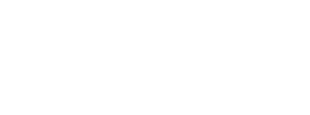 [Macler] Logo TrustScan 2